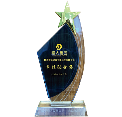 29-陜西君聯(lián)榮獲最佳配合獎