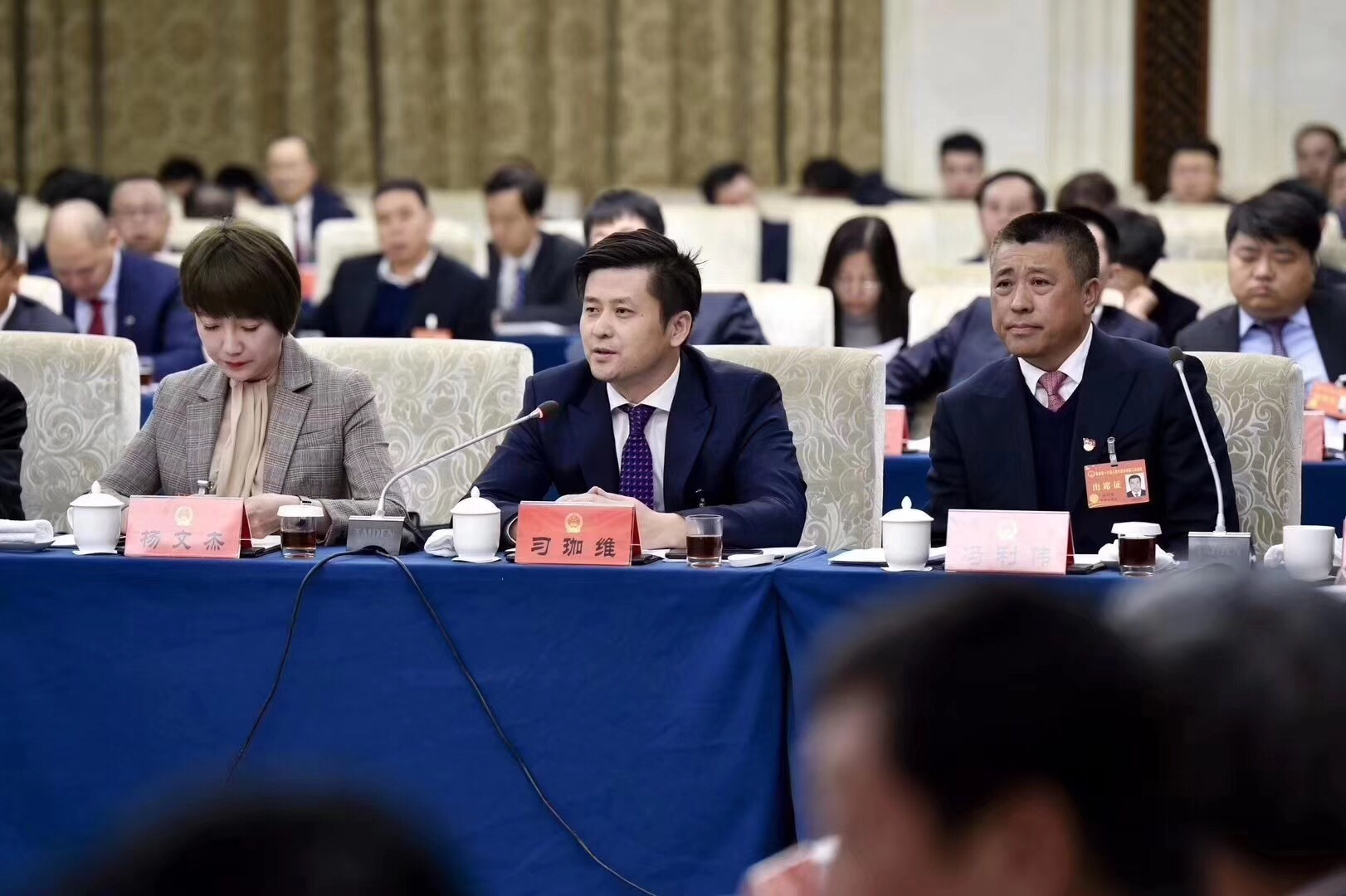 董事長習(xí)珈維出席吉林省第十三屆人民代表大會(huì)第二次會(huì)議